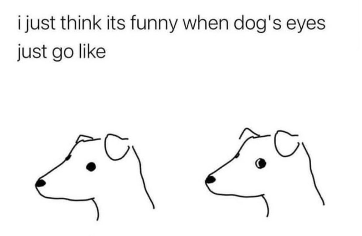 Respectful Memes tweet media