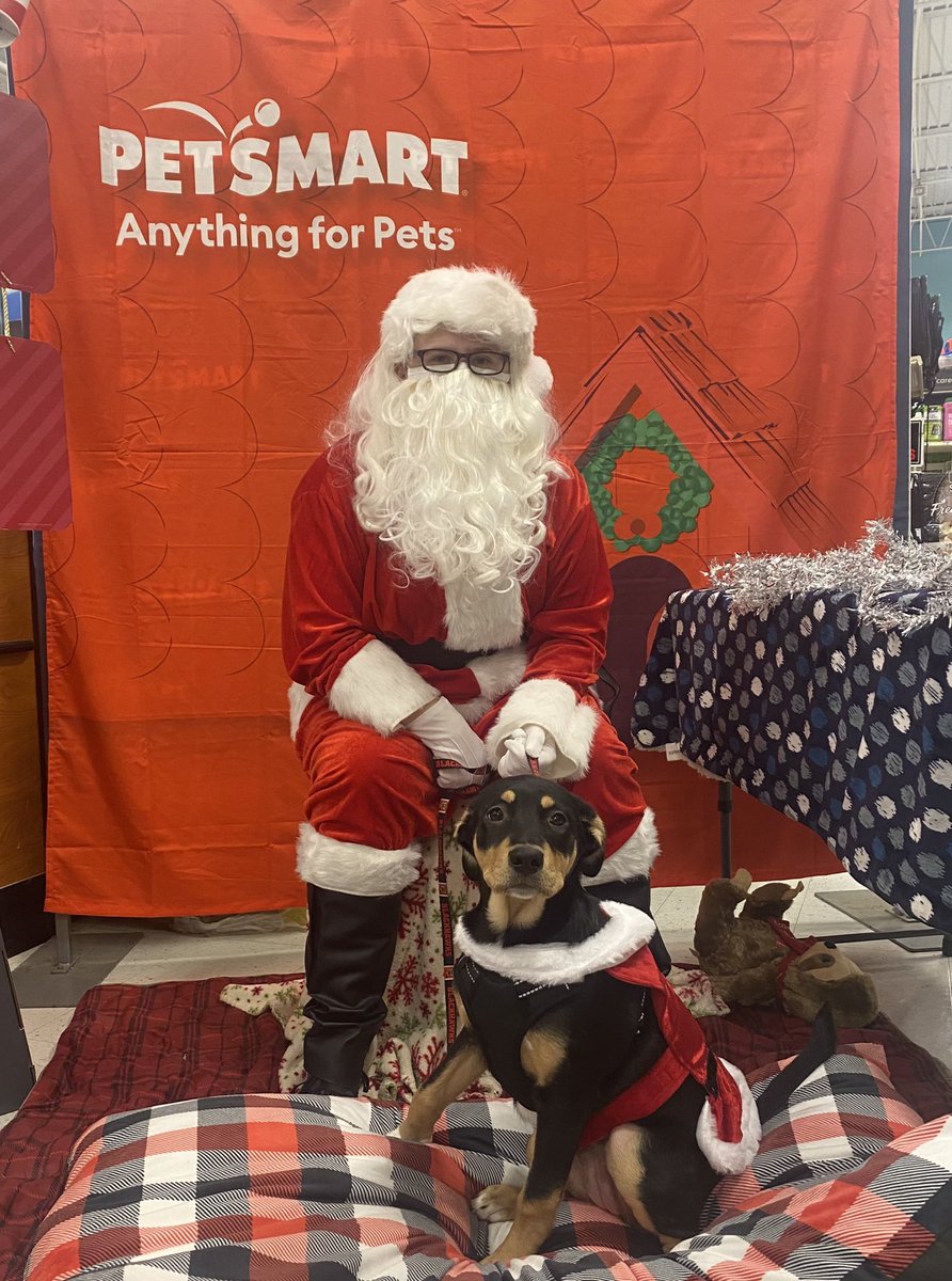 edmeier's tweet photo. @PetSmart @HillsPet Returned to the petsmart where she was adopted from for Penny’s 1st Santa visit. 🎅🏼 https://t.co/SL5ZfBqUl3