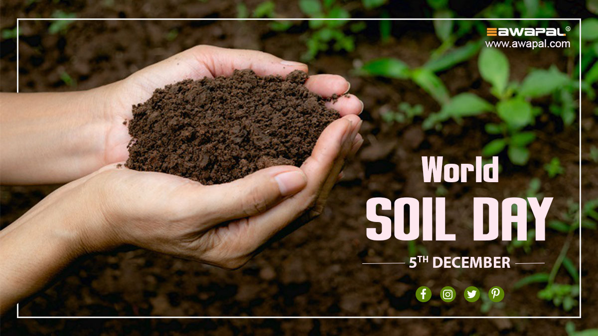 AwapalSolutions's tweet photo. On this World Soil Day, we pledge to re-construct our ecosystem by preventing Soil salinization and solidification. We can make our agricultural production better by improving food security and sustainability in arid and semi-arid regions.

#soilday #soil #worldsoilday #nirvair https://t.co/tPFPlsnkVv