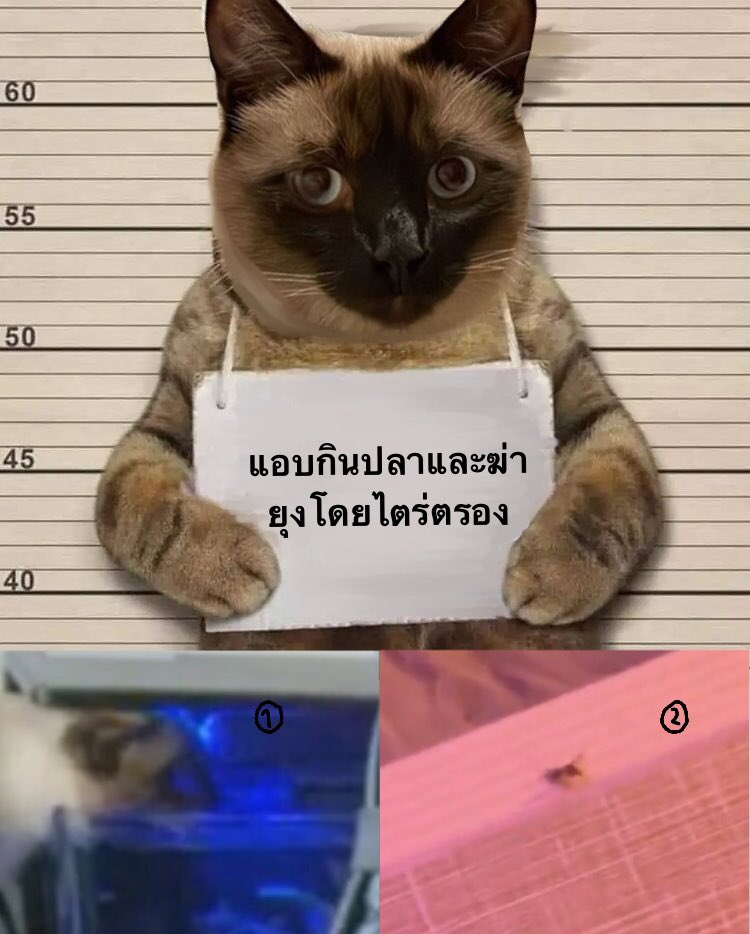 นิ่งไว้คับลูก อย่ามีพิรุธ