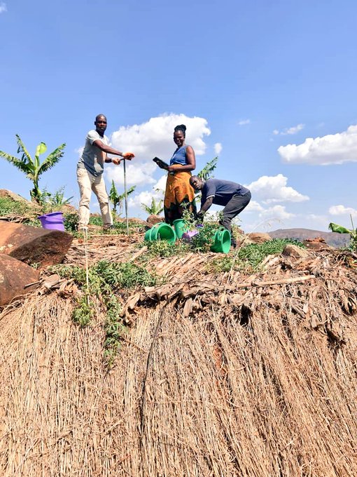 CEPHaS-Soil, Water and Conservation Agriculture (@cephas_soil) on Twitter photo Greetings for #internationalsoilday from the CEPHaS project. Continued team efforts in a national-scale survey of Malawian soils under conventional or conservation management. What are CA impacts on soil physical properties and carbon stocks? Photo from <a href="/Innosandram/">Inno Sandram</a> <a href="/GCRF/">Global Challenges Research Fund (GCRF)</a> Greetings for #internationalsoilday from the CEPHaS project. Continued team efforts in a national-scale survey of Malawian soils under conventional or conservation management. What are CA impacts on soil physical properties and carbon stocks? Photo from <a href="/Innosandram/">Inno Sandram</a> <a href="/GCRF/">Global Challenges Research Fund (GCRF)</a>