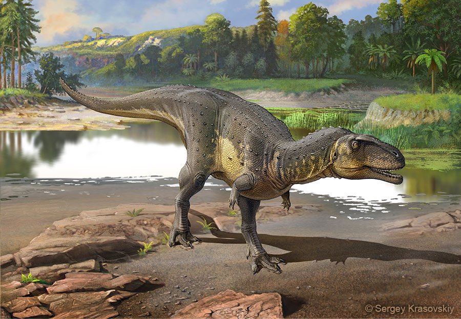 EJR_Paleo_MSc's tweet photo. Besides tyrannosaurs I’m also interested in exploring the feeding mechanics of abelisaurids. Our first abelisaurid for #Theropodacember, here’s #Spectrovenator (“ghost hunter���), an early abelisaurid from South America. Art by Sergey Krasovskiy. https://t.co/ktlZEQQrrp