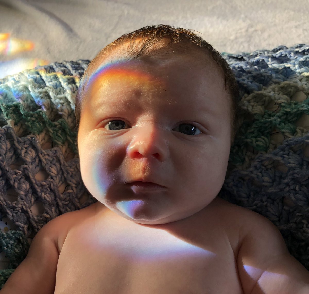 KendraBeardsley's tweet photo. my heart https://t.co/7whRKA4c0O
