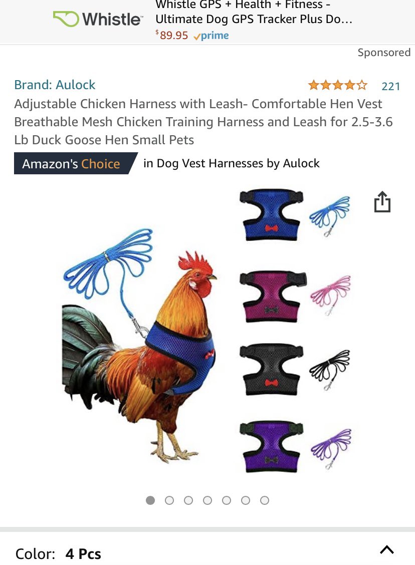 slinvilled8's tweet photo. @nathan_sand1333 @roosterd8 @msrmafia i’ve done research already!! I just need a pet rooster now!!! https://t.co/gerJvyl1CG