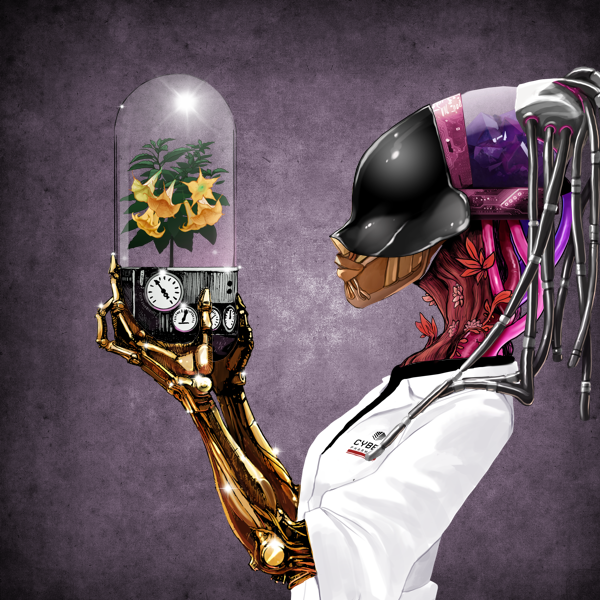 EarthRise11_$SOL tweet media