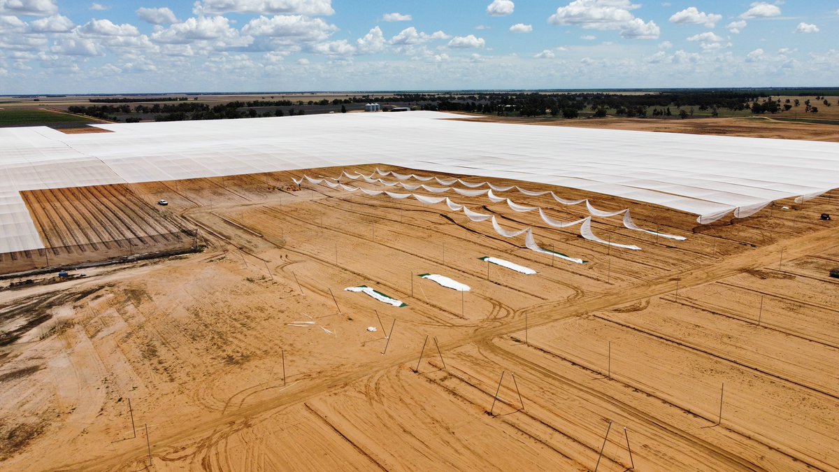 Stage 2 netting nearing completion. Time to get some trees planted before the heat  🍊 🥵
