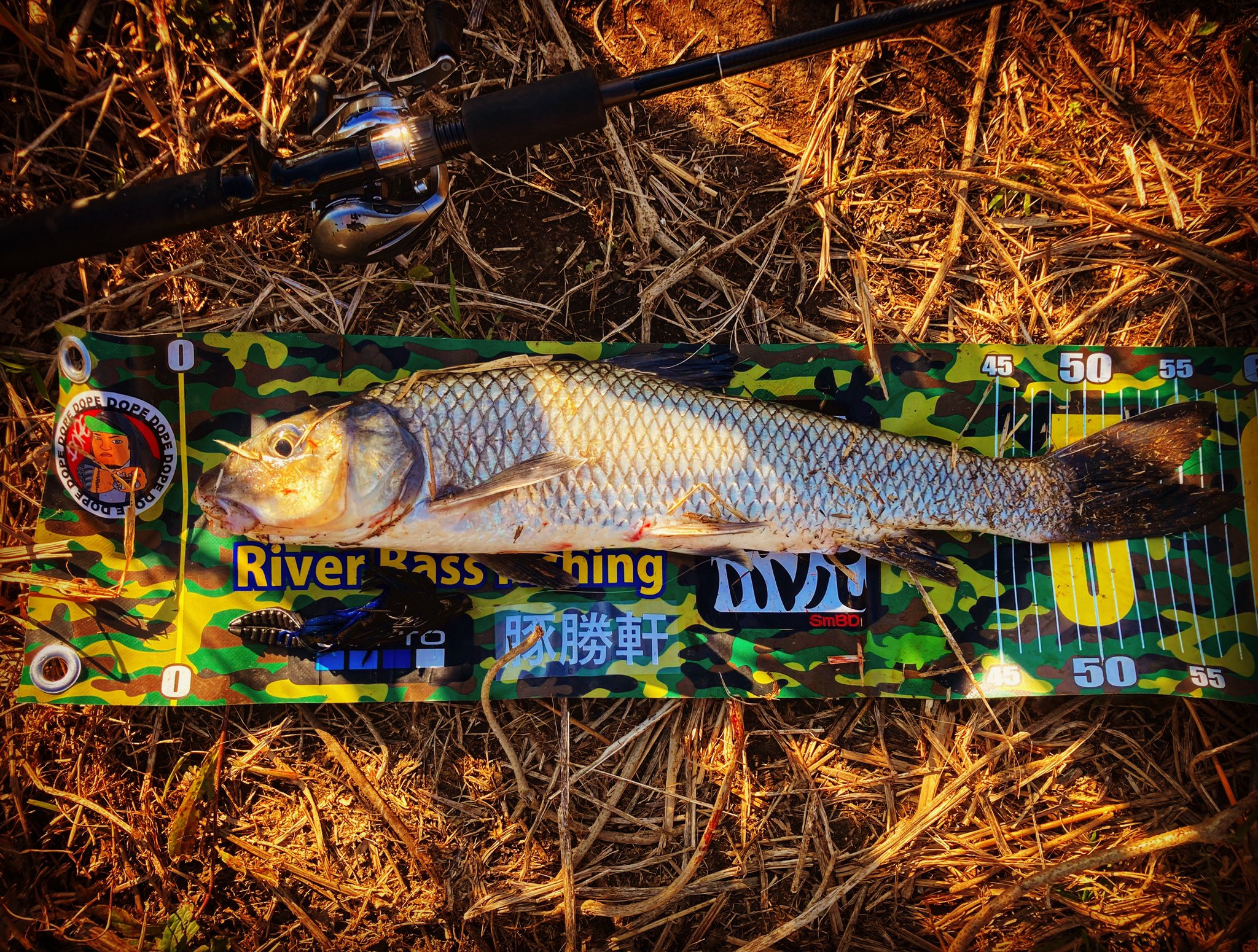 ラバージグ Twitter Search Twitter