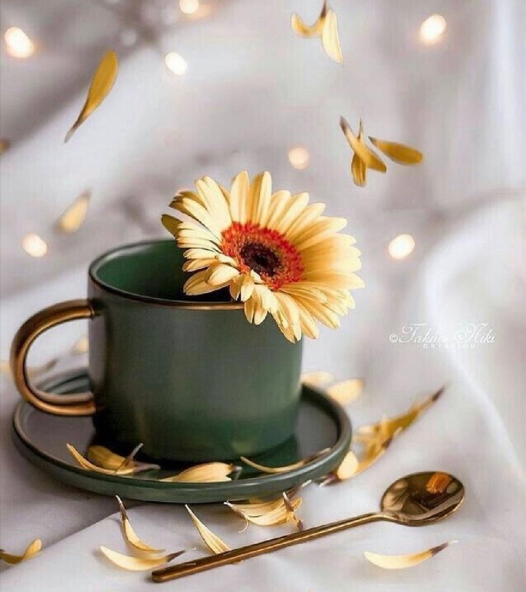 Aynur Seçkin (@Aynursecgin60) on Twitter photo 2021-12-05 06:40:12 ............
Kimse kendini büyük görmesin!
Ben dinlersem konuşabilir
Ben bakarsam görünebilir
Değer verirsem var olabilirsin...
Vazgeçersem yoksun!
Kahve saati🌸🦋☕
#iyiliksende #pazar
#Haftasonu #yenigün
#Kahvesaati #gününsözü ............
Kimse kendini büyük görmesin!
Ben dinlersem konuşabilir
Ben bakarsam görünebilir
Değer verirsem var olabilirsin...
Vazgeçersem yoksun!
Kahve saati🌸🦋☕
#iyiliksende #pazar
#Haftasonu #yenigün
#Kahvesaati #gününsözü