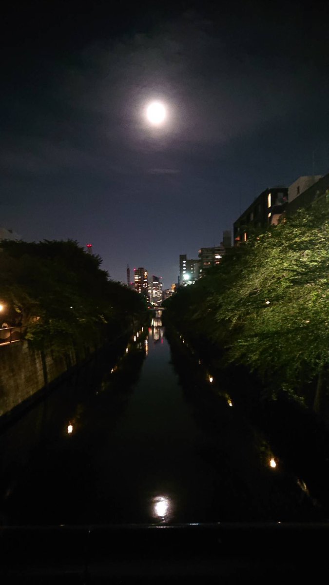 fieldofpine's tweet photo. 目黒川と月🌝  

#水面に映る月 #目黒川 #月空 https://t.co/umXZAZ7XW7