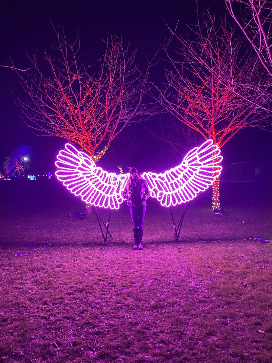 Msj_Boarding's tweet photo. Boarders had a very festive time taking in the Malvern Winter Glow last night. #iloveboarding https://t.co/2PVlIHIDsx