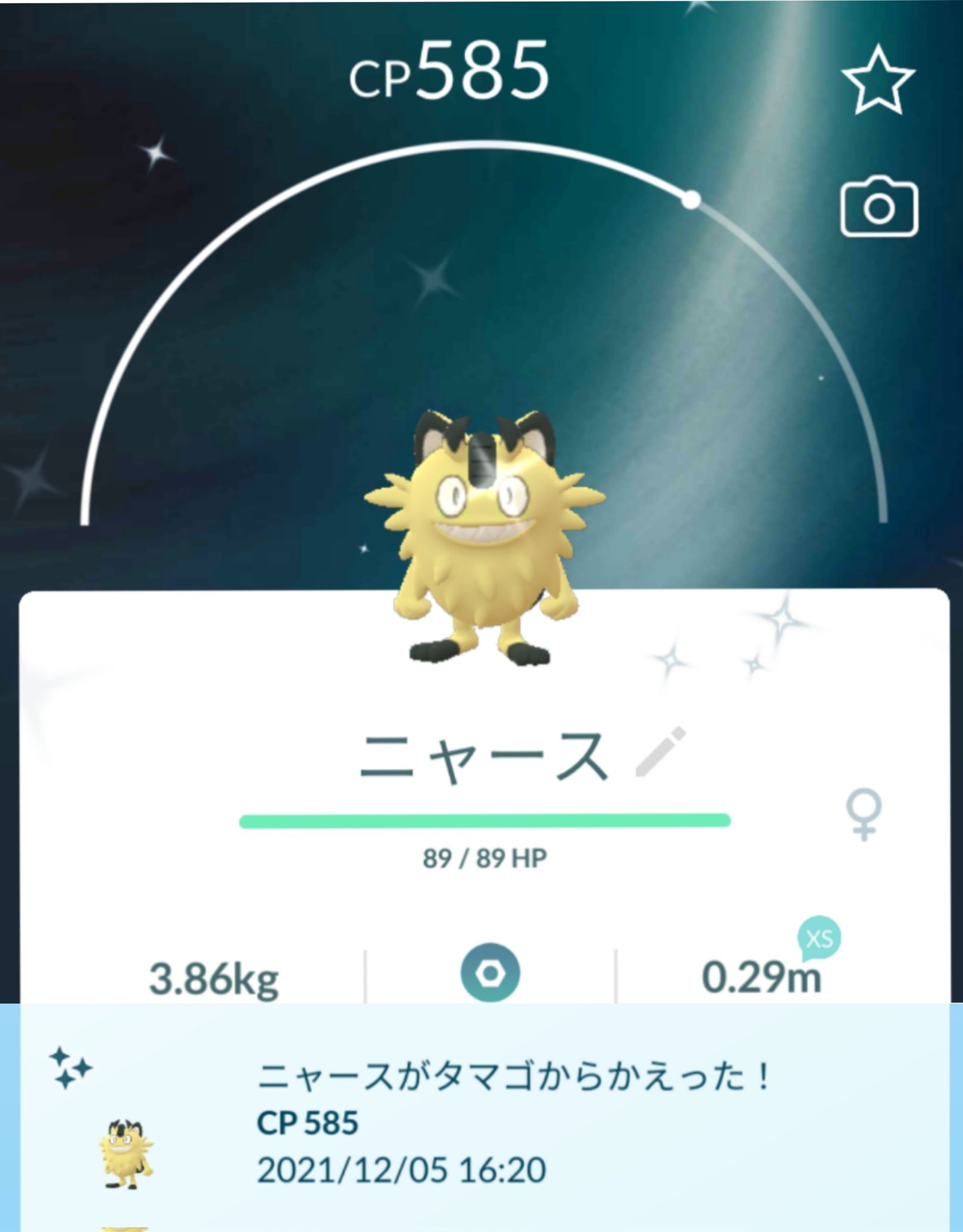 Mewmew Rinn530sk ガラル色違い実装の時思い出します ニャース愛が伝わったようで久々に来てくれました Twitter