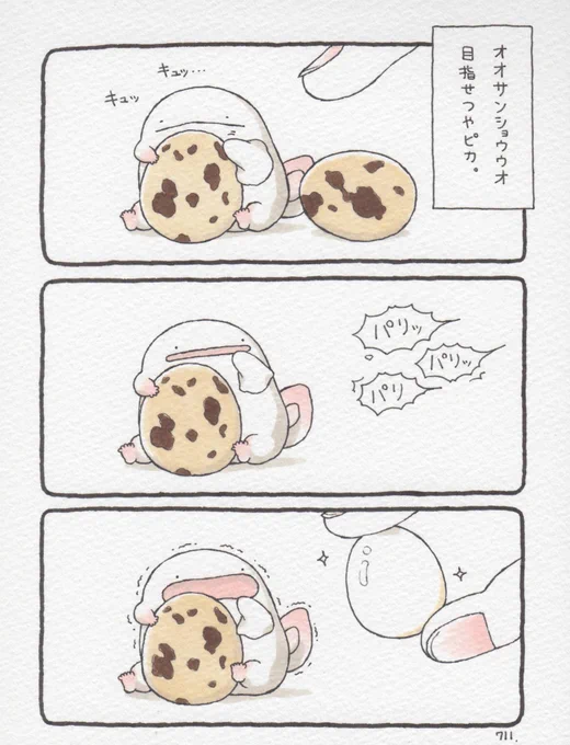 オオサンショウウオ、目指せつやピカ。 