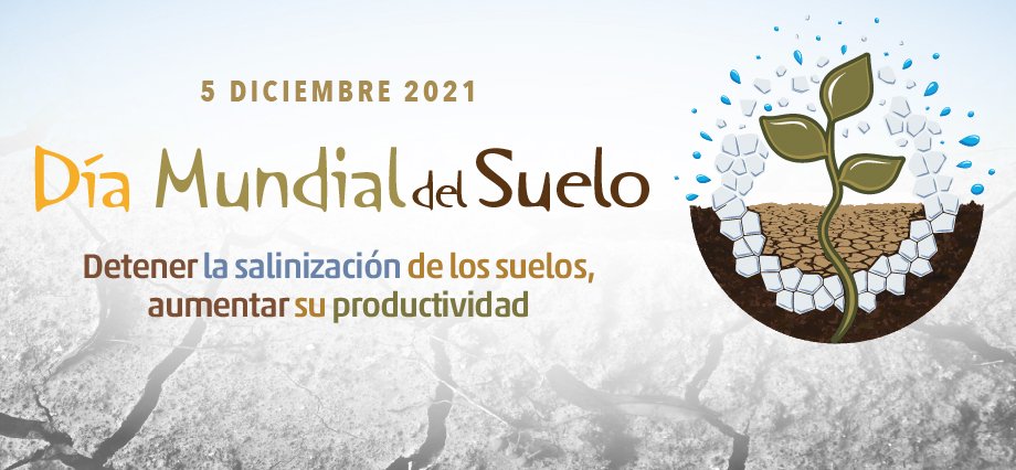 Osvaldo Salazar tweet media