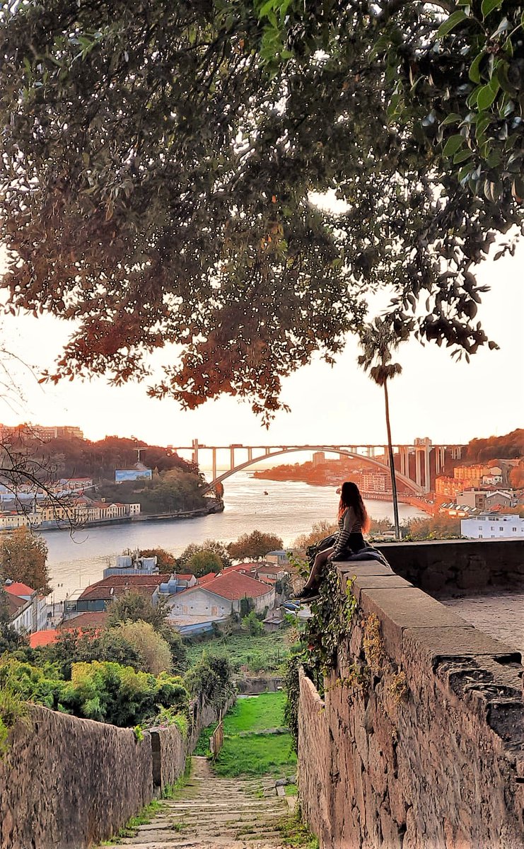 Este punto, instagrameable al 100%, está en los jardines del Palacio de Cristal, #oporto #portugal : instagram.com/p/CXGaOLJq5gH/
<a href="/dianamiaus/">Diana Millos</a>