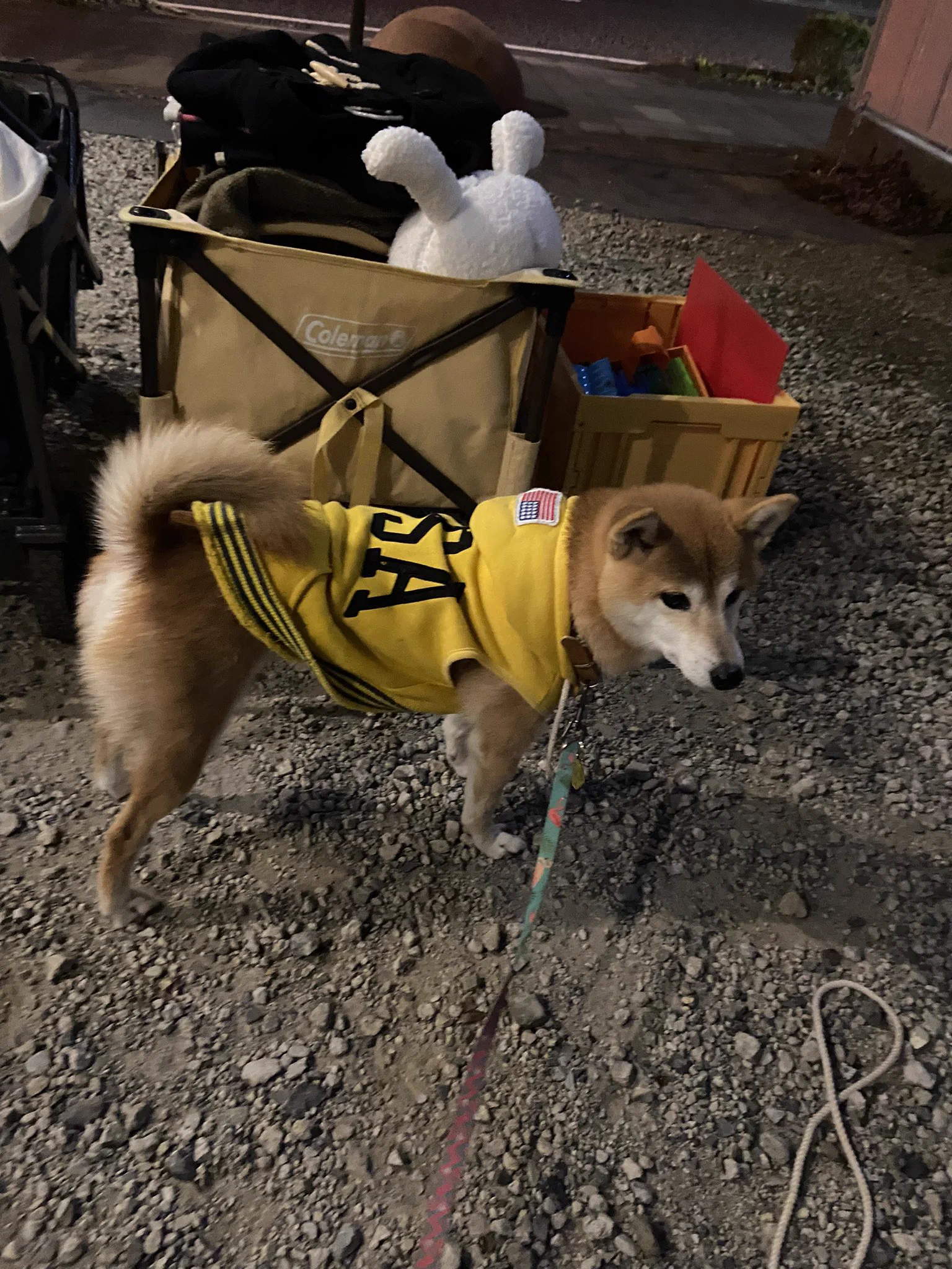@K5dbZRmjNe77i5r これが1番似合ってるって思ってる…どう思ってんだろ🤣 