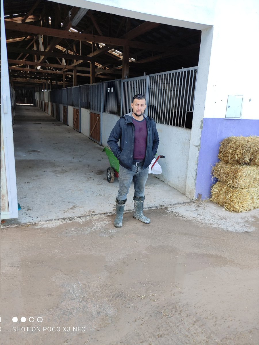 Tuncay Sülü (@tuncay_sulu) on Twitter photo 