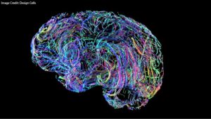 What's the relationship between #emotion and #thinking, especially among teenagers?

A1: It's COMPLICATED.

A2: “Rather than interfering with complex cognition, emotion in the context of abstract thinking may drive adolescents’ thinking forward.”

learningandthebrain.com/blog/understan…