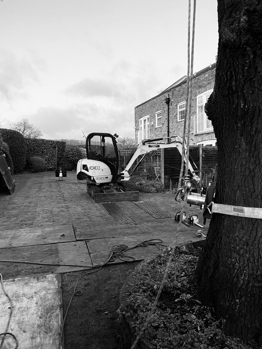 franksforestry's tweet photo. WHAT IS ARBORICULTURE?           
It is a question we will all have been asked over the years. We might respond with a technical definition,
something like "the science and practice of the cultivation, establishment and
management of amenity trees for the benefit of society." https://t.co/2xjbumA32Q