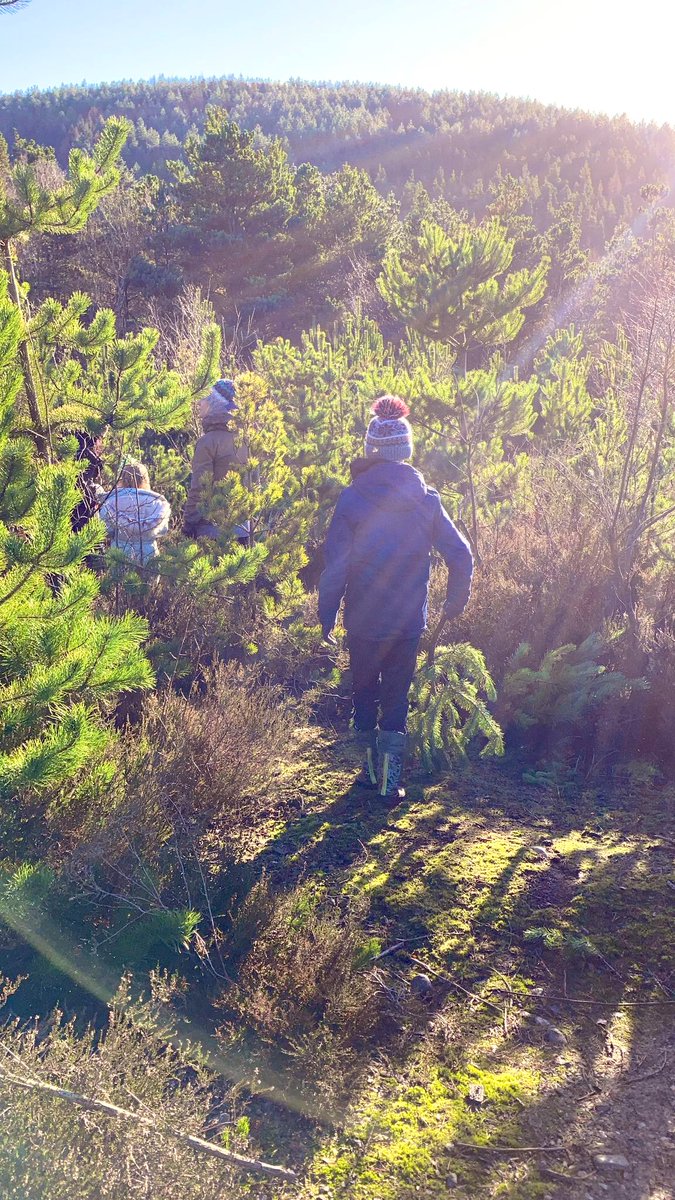 Charlotte_Cymru's tweet photo. A massive thank you to the brilliant Trefor &amp; the #volunteers from the #Kilvey #Community #Trust &amp; the fabulousness @SwanseaMAD #volunteers 🌲 What a wonderful day we are having 🎅 https://t.co/zEtBmQgbUV