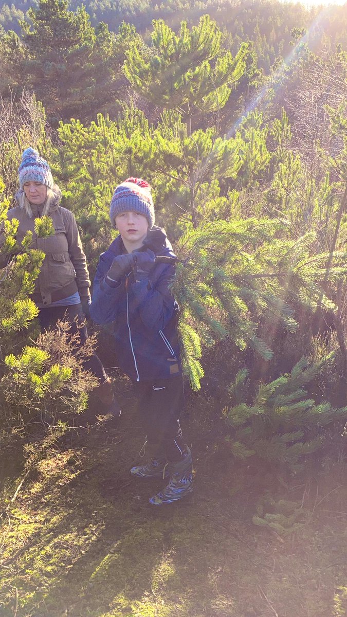 Charlotte_Cymru's tweet photo. A massive thank you to the brilliant Trefor &amp; the #volunteers from the #Kilvey #Community #Trust &amp; the fabulousness @SwanseaMAD #volunteers 🌲 What a wonderful day we are having 🎅 https://t.co/zEtBmQgbUV