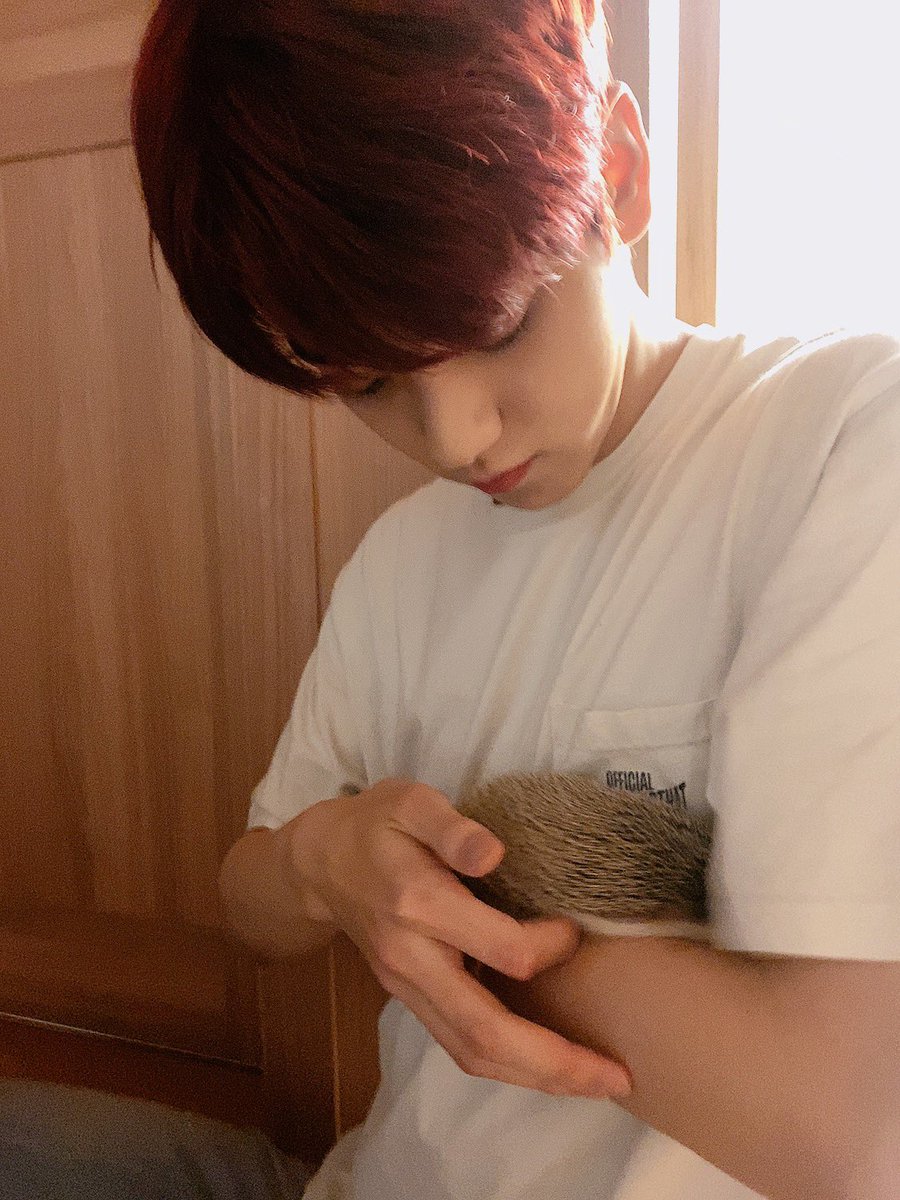 0Ayqe's tweet photo. HAPPY BIRTHDAY SOOBIN
Spend this day well💐
#SOOBINDAY #SOOBINBIRTHDAY #SOOBIN
@TXT_members https://t.co/6hD1s5GYoy