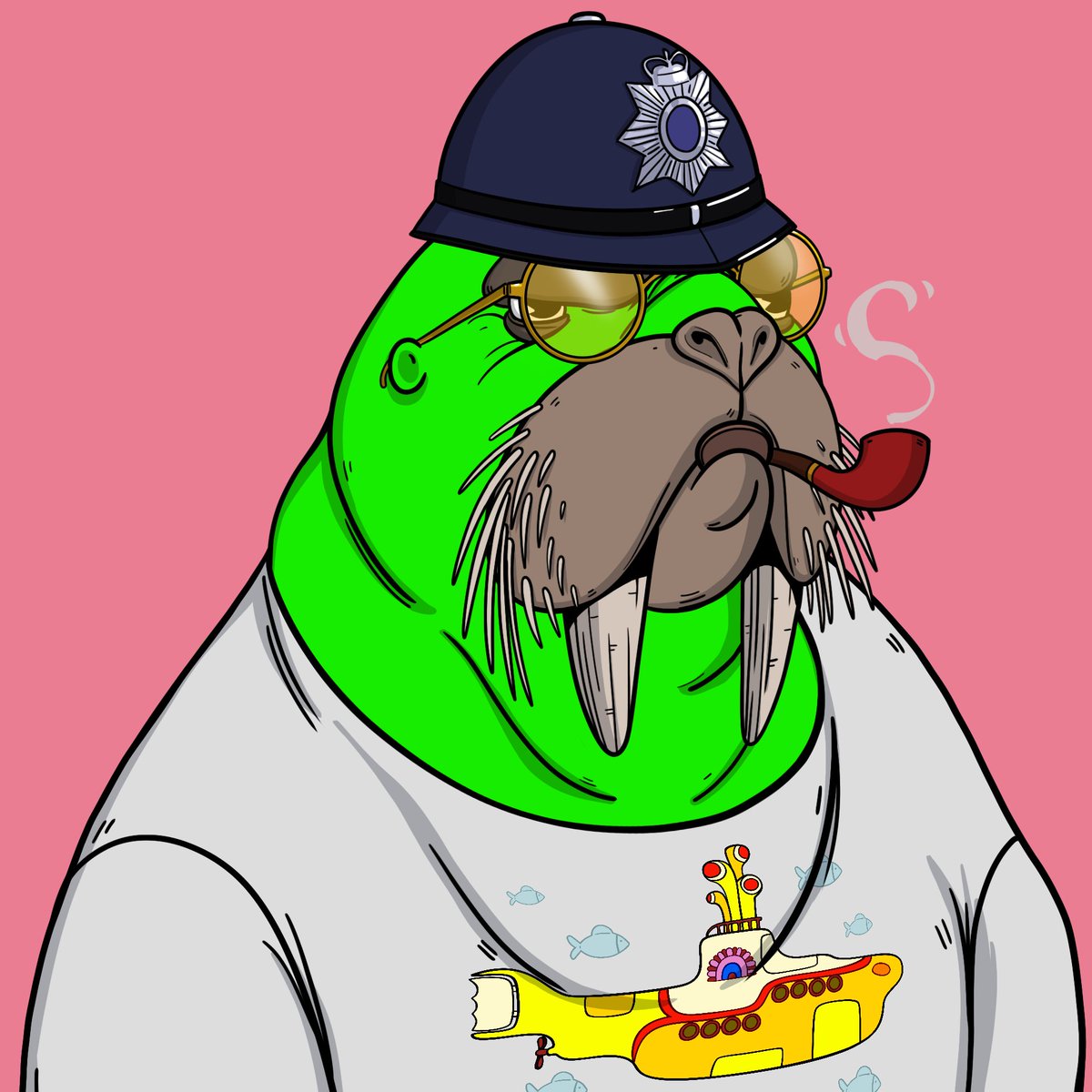 BrawlyNFT's tweet photo. @KotaTheFriend @WATwalrus #WALRUSFOLLOWWALRUS https://t.co/zXSviAZ0AF