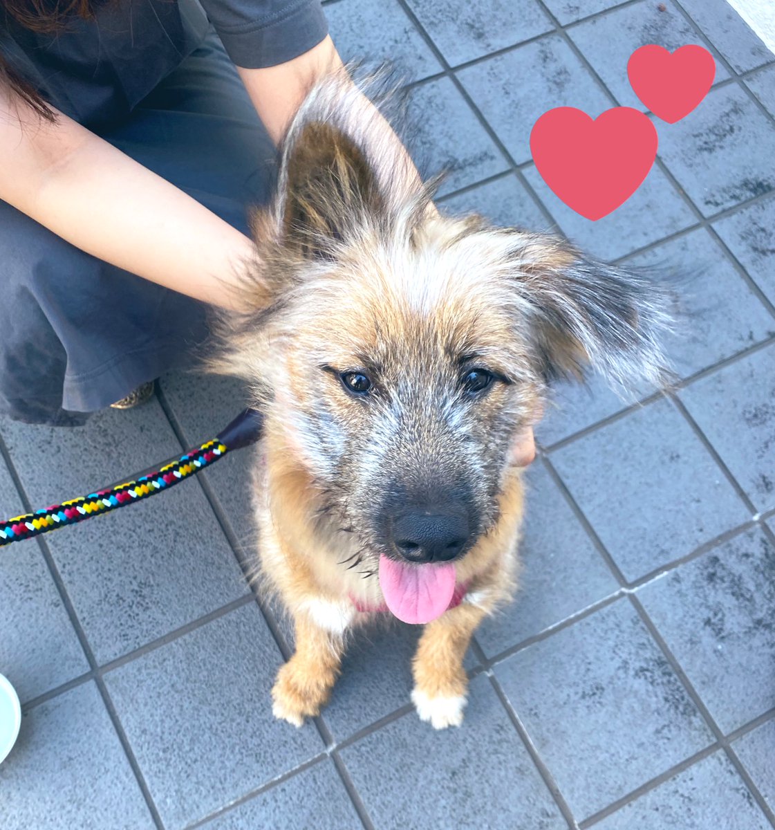 お耳どしたの？💓笑