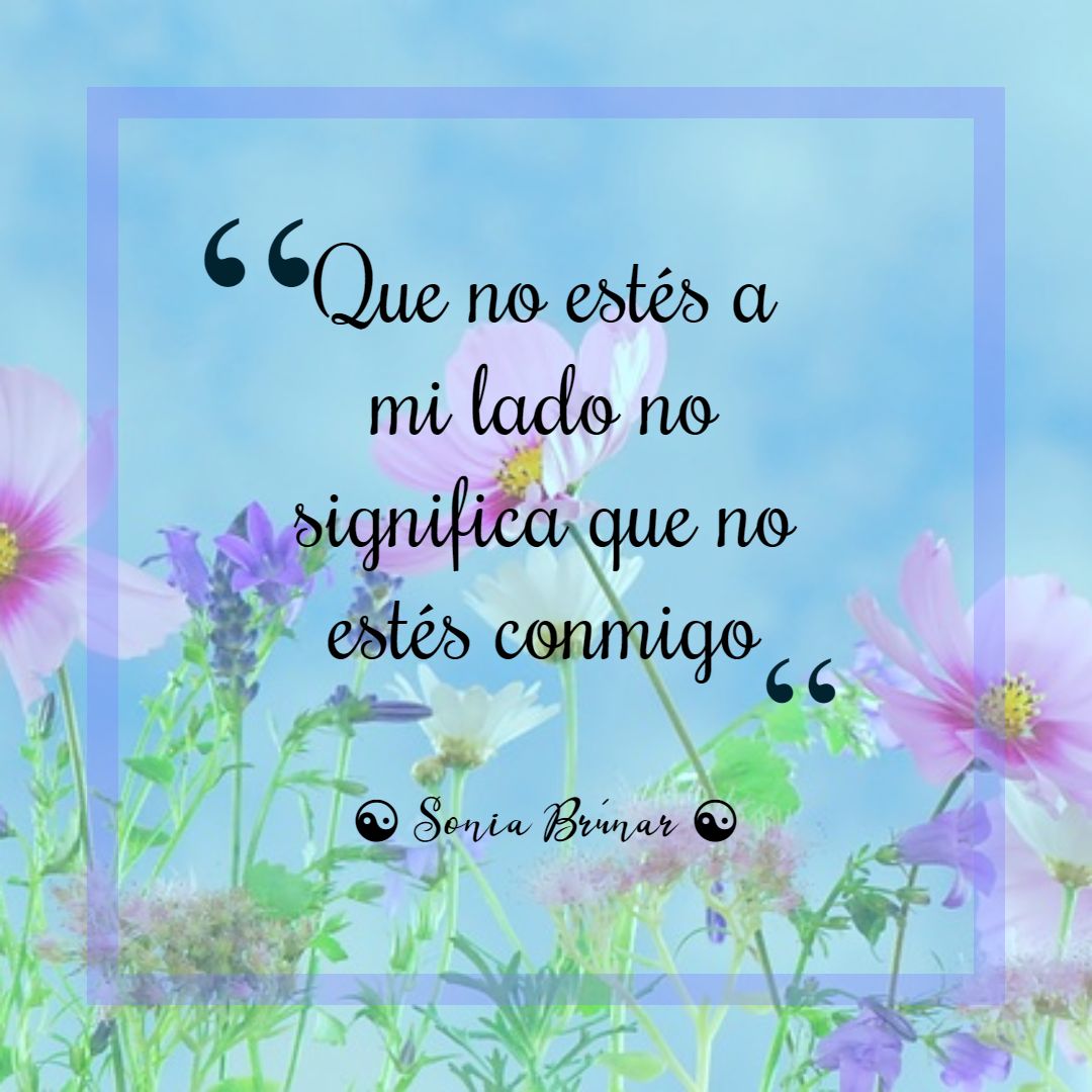 soniabrunar's tweet photo. Feliz domingo, amores 💕

.
.
.
#FraseDelDía #BuenosDías #felicidad #almas #eternidad #vidaymuerte #loshilosdeluniverso #lhdu #SoniaBrúnar https://t.co/b793PaJmzS