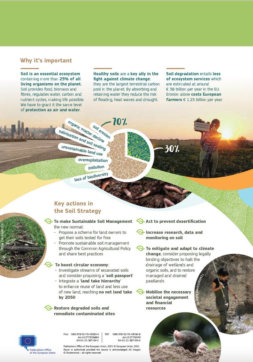 lultimoalbero's tweet photo. Happy #WorldSoilDay!

A thread telling a long-lasting story: soil and @EU_Commission🤎🧵 

1. SOIL STRATEGY👨🏻‍💼👩🏿‍🌾

On 17 November 2021, Eutopean soil strategy was adopted. It announces a new Soil Health Law by 2023.

Read full text: https://t.co/DSnYDgZ8OM https://t.co/i8rXT9XOeb