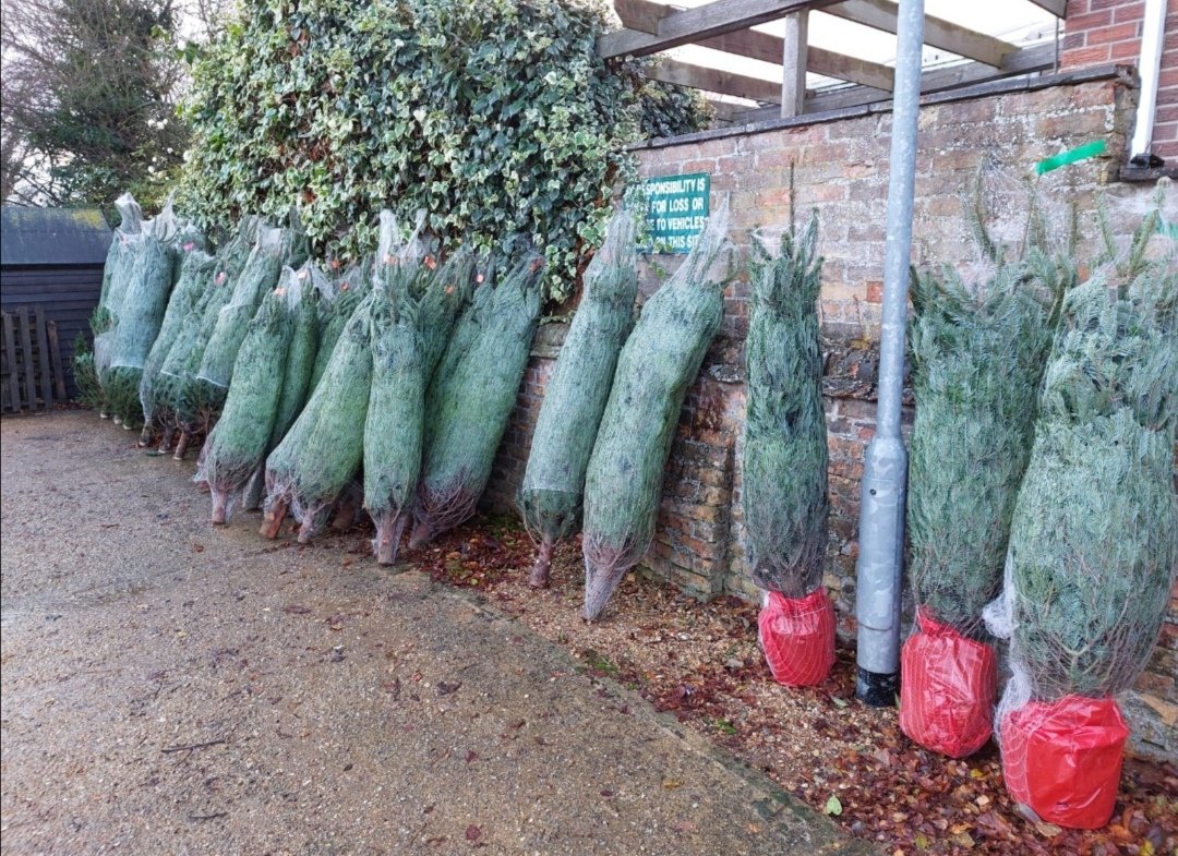 FriendsofWitchfordRackham tweet media