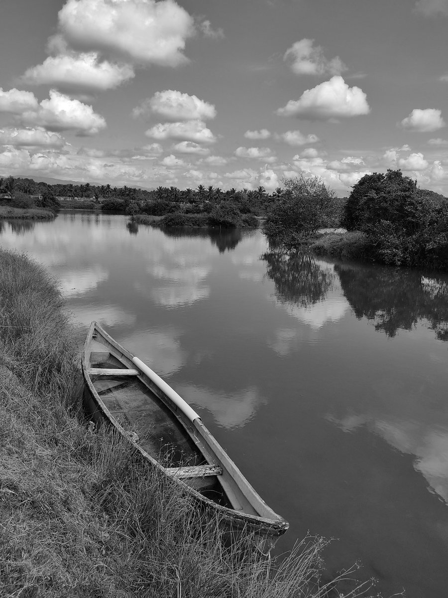 nkhsocial2015's tweet photo. The backwaters of hosadu village where mangroves and aquatic birds thrive.Despite the 90%+ humidity,its pleasure to behold natural beauty.
kundapura, karnataka

#indiaves #anythingbutbirds #landscapephotography #TwitterNatureCommunity #nature #NaturePhotography #mobilephotography https://t.co/g9GrT0avgH