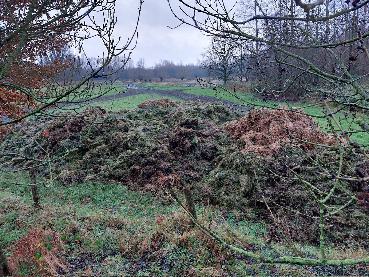 Hier heeft @Natuurmonument de eerste snede gras gemaaid met #wetlandtrack op de laagste percelen met vochtig #hooilandbeheer in het #keversbroek te Kelpen-Oler. Jammer dat dit nu pas gebeurt onder de natst mogelijke omstandigheden. Natuurontwikkeling weer jaren op achterstand.