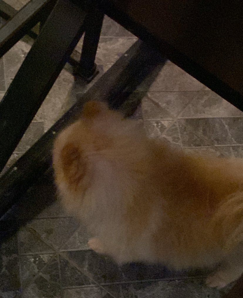 ًً (@himp0pey3) on Twitter photo 