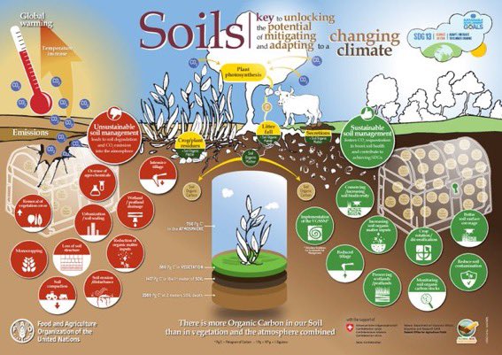 MICROSERVICES21's tweet photo. Happy #WorldSoilDay. Protect this valuable resource. https://t.co/1InHqCvfEu