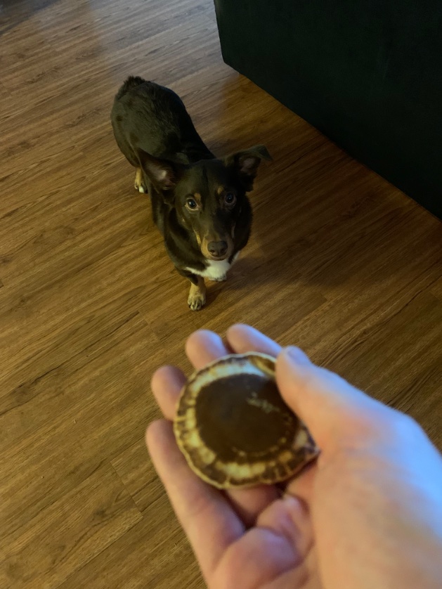 Leto pancake for the Leto doge