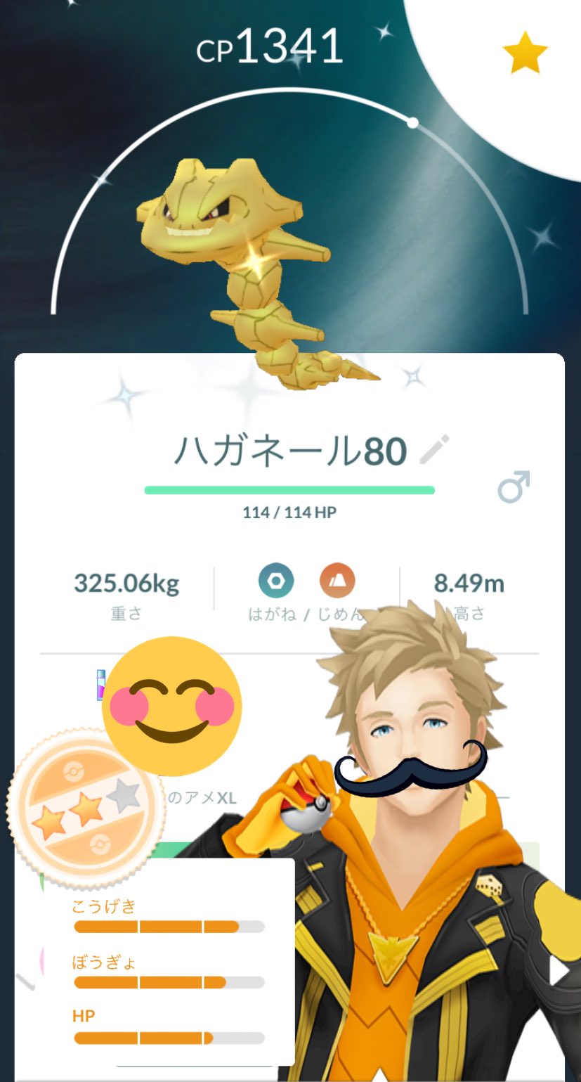 ハガネール色違い Twitter Search Twitter