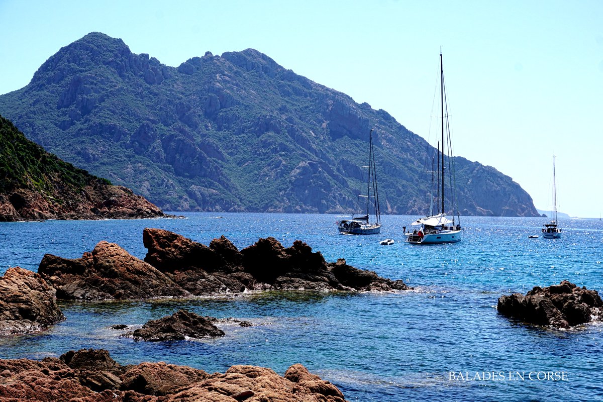 BaladesenCorse's tweet photo. #girolata #ouestcorse #travelphotography #corsica
https://t.co/9oLZDt9QGl https://t.co/isMC2j3Q6w