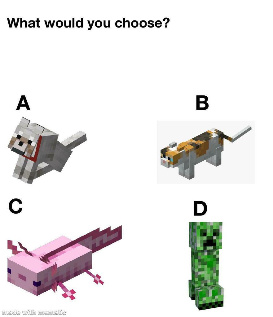 Minecraft how would you choose?