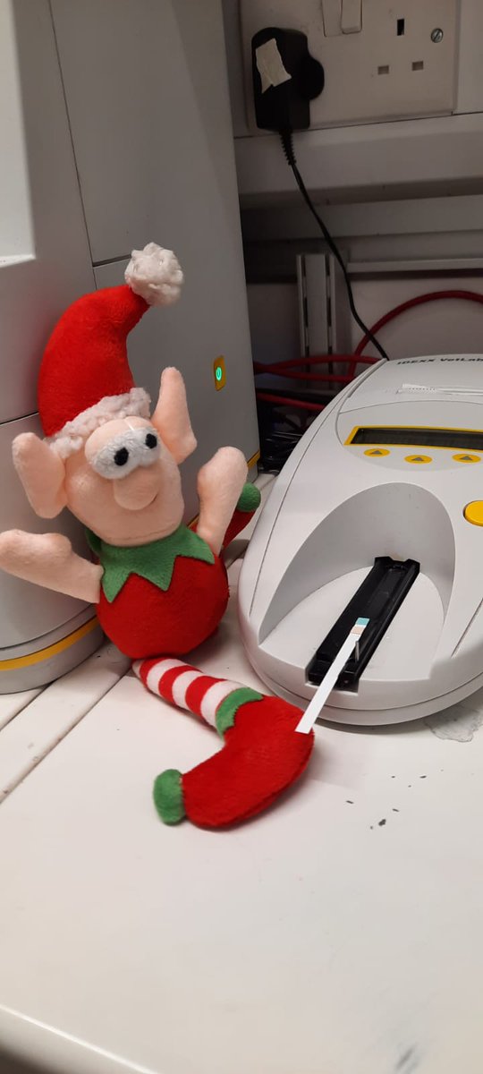henleyvets's tweet photo. The Elf has decided to 'help' us in lab.
We don't think he should look quite so pleased with himself just yet though - that's the wrong test strip!
#localveterinarypractice #elfontheshelf #elfonashelf #henleyonthames #twyfordberkshire https://t.co/d7NkjBYSI1