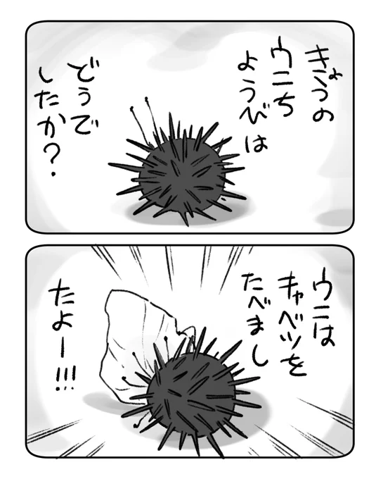 ウ日記 