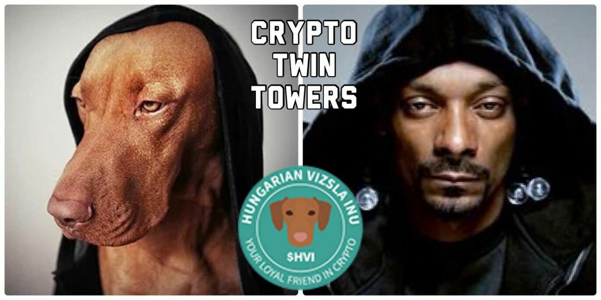 dasenster's tweet photo. @cryptogems555 https://t.co/byJS0nXYsn