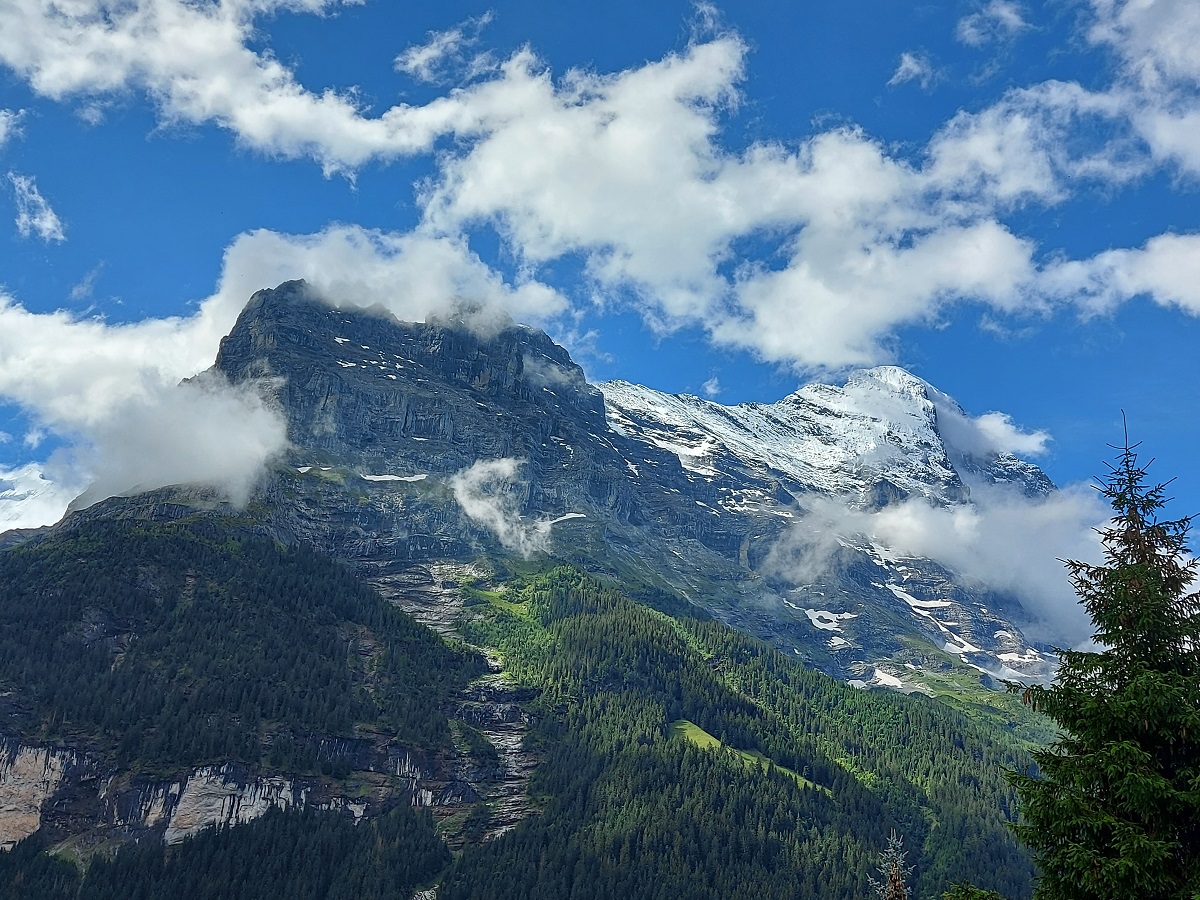 worthwhile_com's tweet photo. If you are considering running the 35km distance in the @EigerUltraTrail next summer, I highly recommend it! Check out my race report: 
https://t.co/0c9Wl24jlc

#EigerUltraTrail #trailrunning #racereport #Grindelwald https://t.co/aKQuXjK8yc