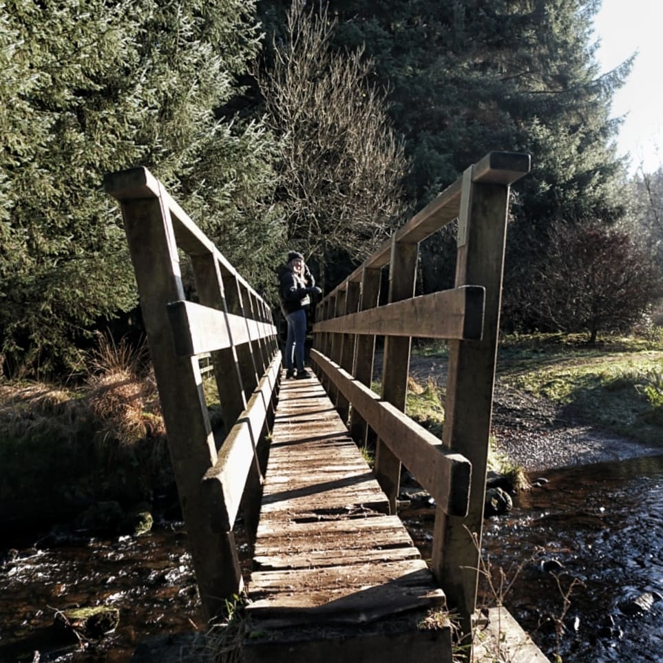 The little wooden bridge
#Bridge #bnw #bnwphotos #bnwphotography #countrysidewalk #Lancashire #sonya6300