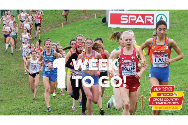 Just one week  to go until the #SPAR European #CrossCountry Championships 2021 to be held on Sunday, 12 December 2021 in Fingal-Dublin. Over 40 countries will send 760 athletes to compete. SPAR International wishes all the teams and host country Ireland good luck! #SECCC2021
