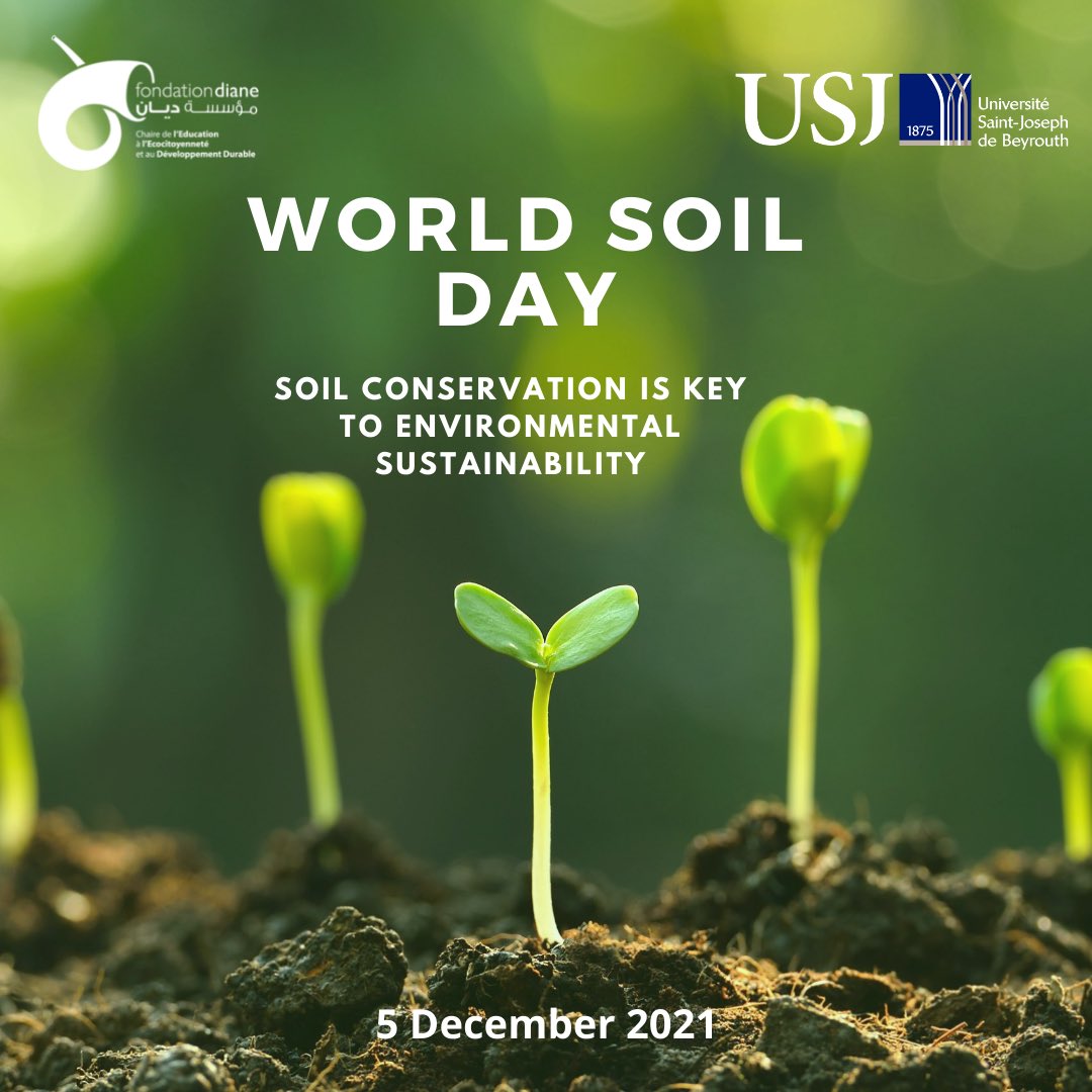 ceedd_usj's tweet photo. Theme for this years’ world soil day is : Halt soil salinization, enhance soil production.
🥑🌽🍋🥕
Salt-affected soils have serious impacts on soil functions, such as in the decrease in agricultural productivity, water quality, soil biodiversity, and soil erosion - UN 
#SaveSoil https://t.co/BNx07VsMSo