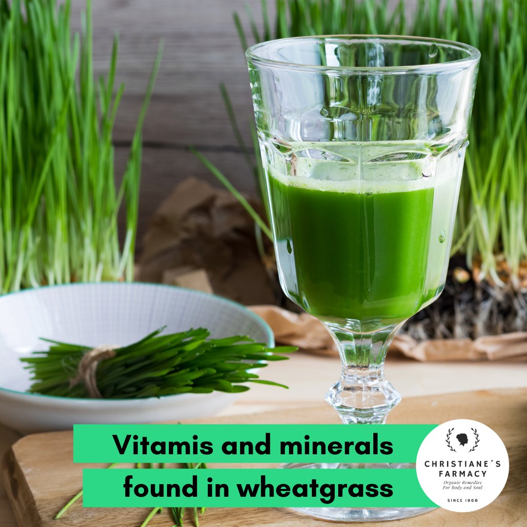 ChristianesLife's tweet photo. Wheatgrass is a natural source of vitamins and minerals (a few of which are antioxidants) including:
Vitamins A, E, C, K and B6
Calcium
Selenium
Magnesium
Iron

source: https://t.co/GKjBfJXOuE

#christianeslifestyle #healthyliving #wheatgrass #organicfoods #wheat https://t.co/gUt3OGG98B