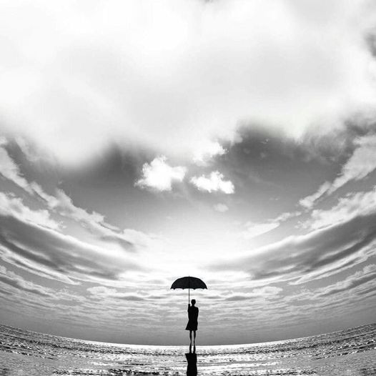 literland tweet media