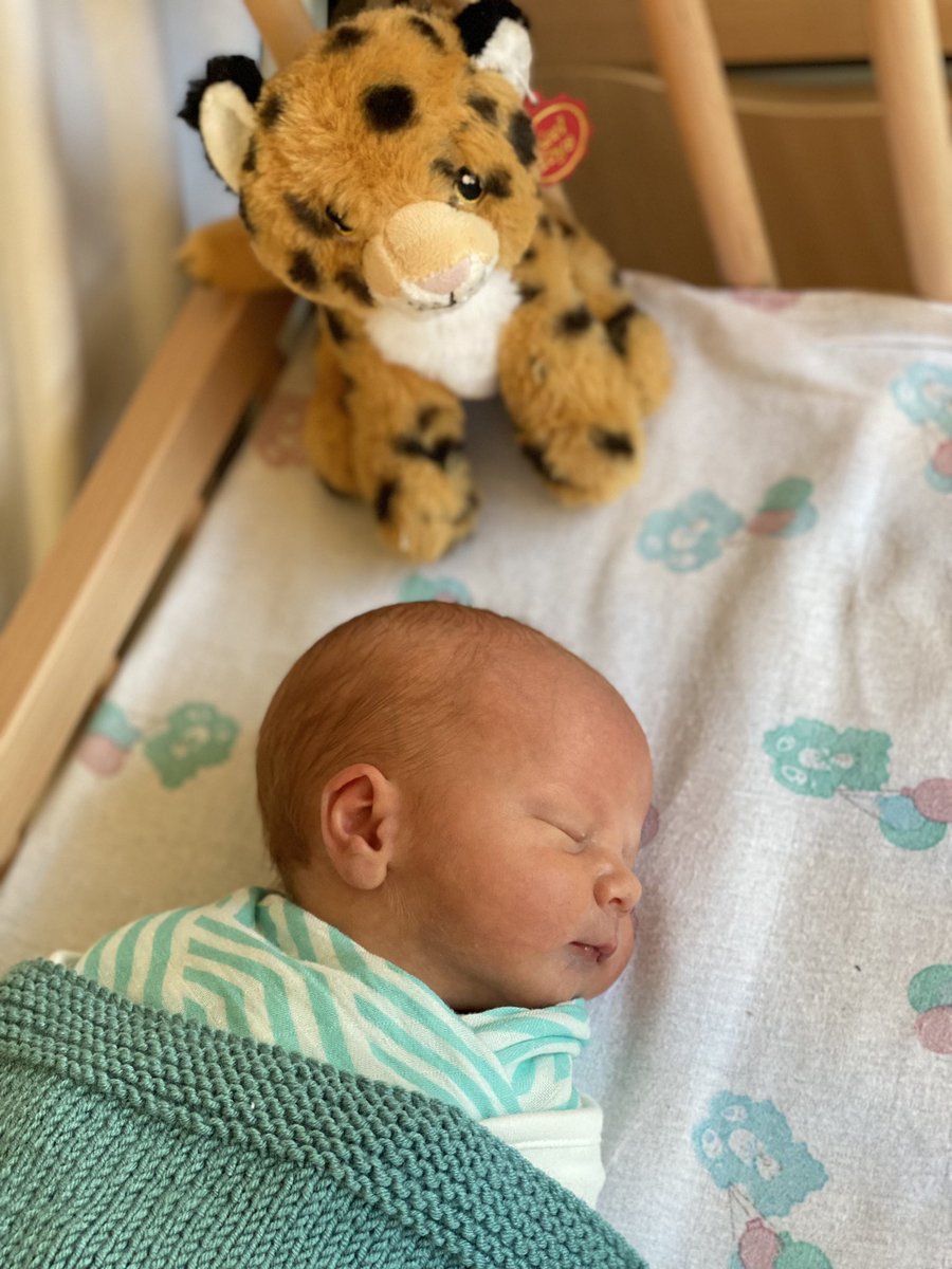 Nikki Cole tweet media