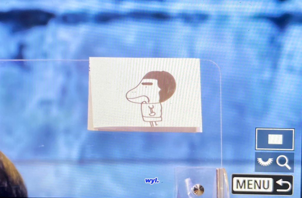 취향의 형원🎗 tweet media