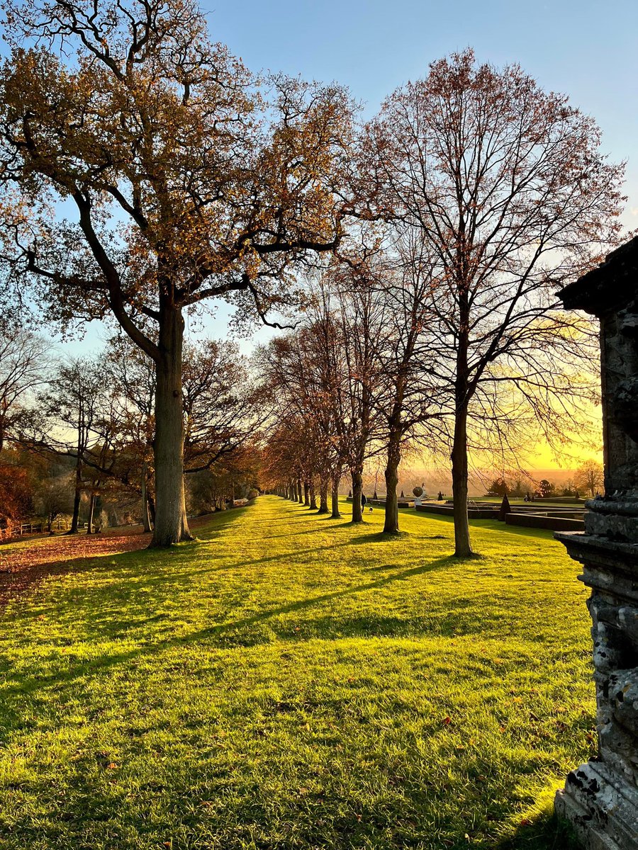 Tom Soon (@tansir83632045) on Twitter photo 